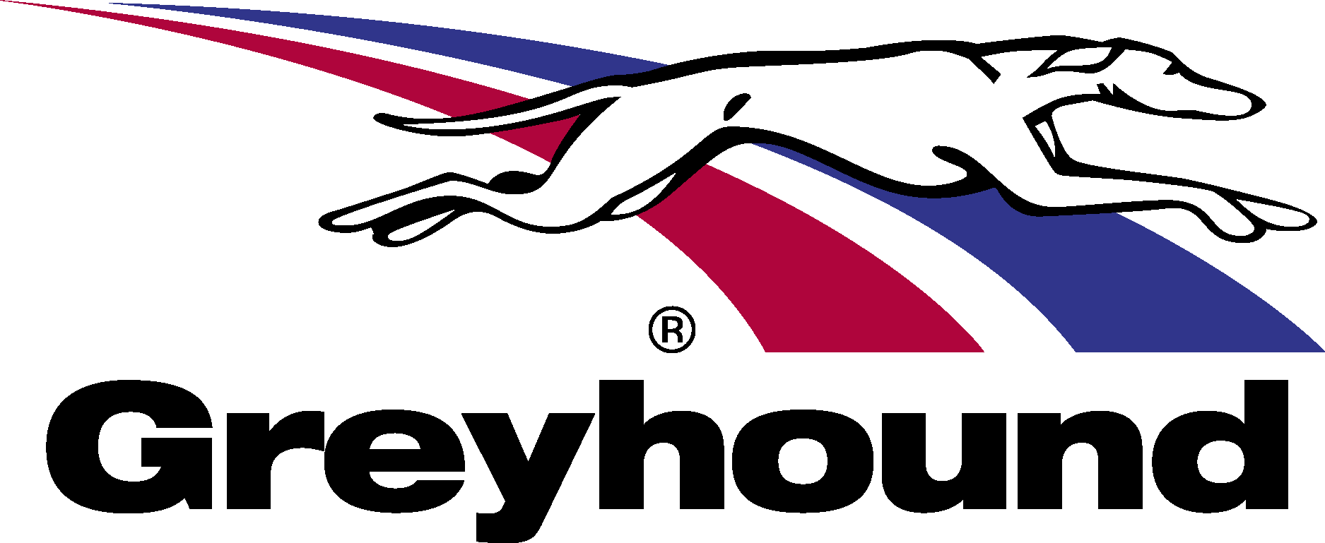 Greyhound Logo Vector Logo